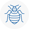Bed Bug Extermination In Market Warsop