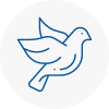 Bird Prevention Market Warsop