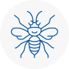 Market Warsop Hornet Nest Removals