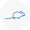 Mice Exterminators In Market Warsop