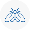 Moth Control Specialists In Market Warsop