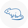 Rat Control Market Warsop