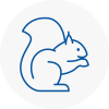 Market Warsop Rodent Removals