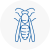 Market Warsop Wasp Nest Removal